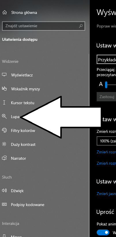 jak włączyć lupę
